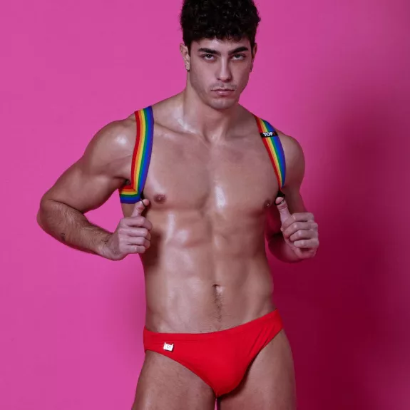 Rainbow Shoulder Harness