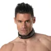 3D Collar Silver for gay men