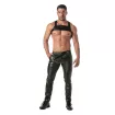 Kinky Harness WITH BLACK PANTS