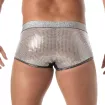 Glitter Trunk Silver