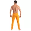 Chino Pants Orange