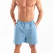 Linen Short Blue