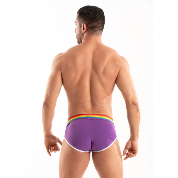 Le Slip Pride Violet De Dos
