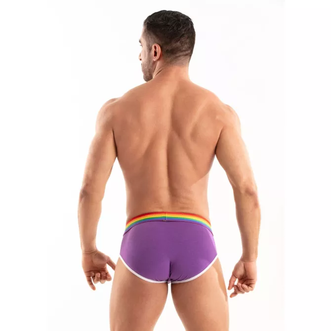 Le Slip Pride Violet De Dos