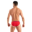 The Pride briefs Red From Back