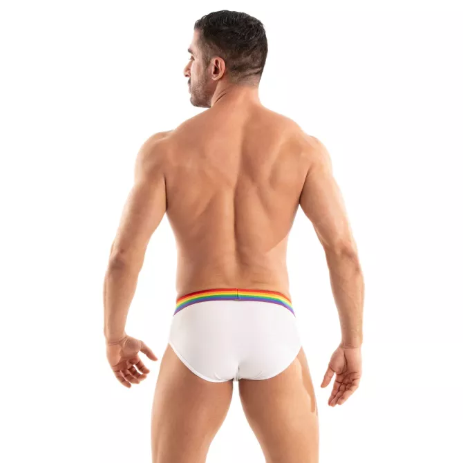 The New Pride Briefs White From Back