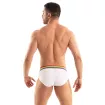 The New Pride Briefs White From Back