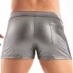 A Metal Zipped Swim Short Silver From Back
