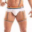 Le Harnais De Cuisse Pride Porté Avec Un Briefs Blanc