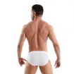 Access Briefs White