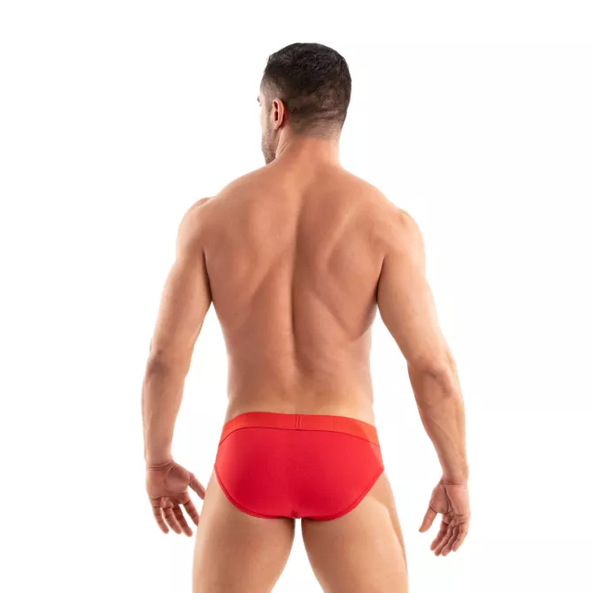 Access Briefs Red