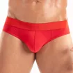 Access Briefs Red