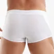 Boxer Access Blanc