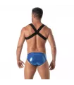 The Fiesta Zipped Pocket Harness Royal Blue From Back