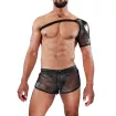 Shoulder harness Roman