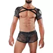 Shoulder harness Roman
