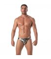 Le Nouveau Mini Slip Fiesta Argent