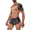 Shoulder harness Roman