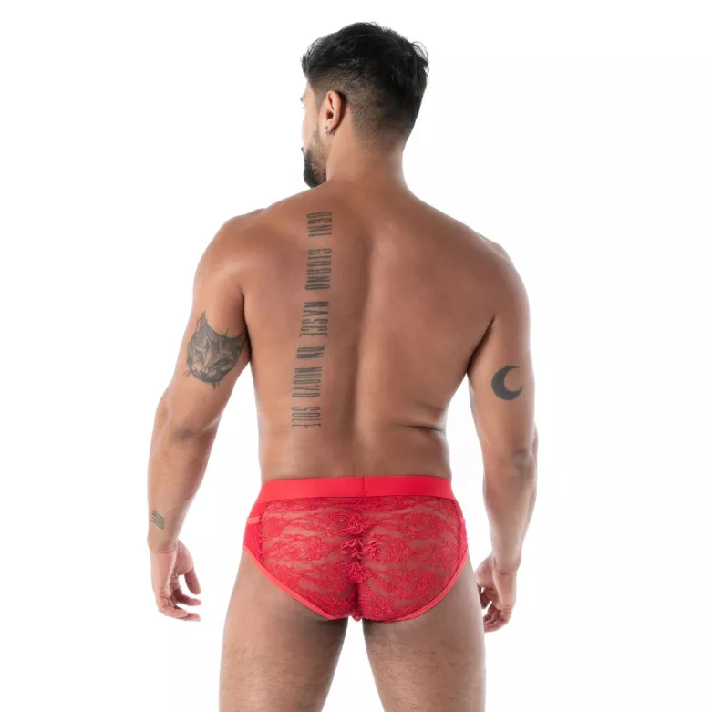 The The Fluid Lace Pocket Brief Red From Back