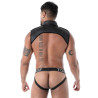 Neoprene Collar Shirt Harness – TOF Paris