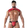 Neoprene Collar Shirt Harness Red