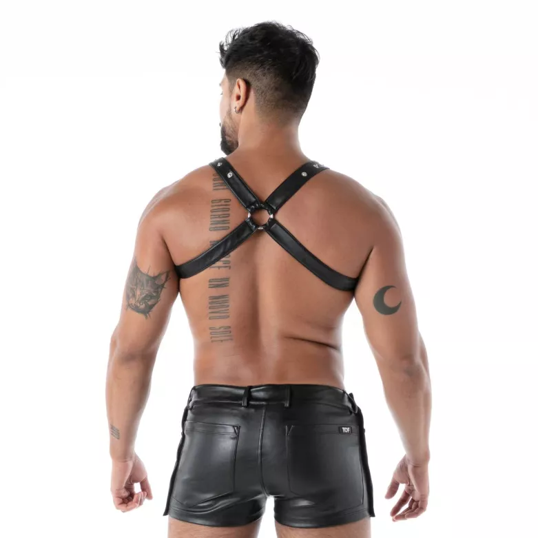 harness from the back with X