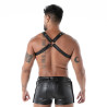 harness from the back with X