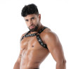 Harnais Homme Effet Cuir Sexy | Harnais Bulldog Kinky | TOF Paris