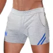 Paris Sexy Shorts Grey/Blue