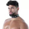 collar for men