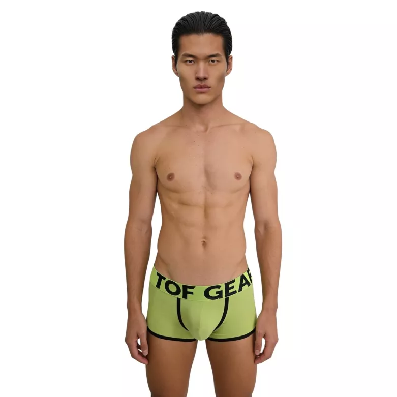 Trunk mood lime green from front