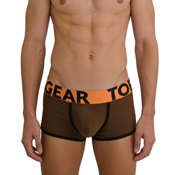 Trunk mood brown zoom from front