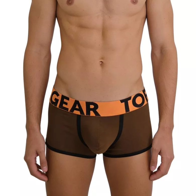 Boxer mood marron zoomer de face