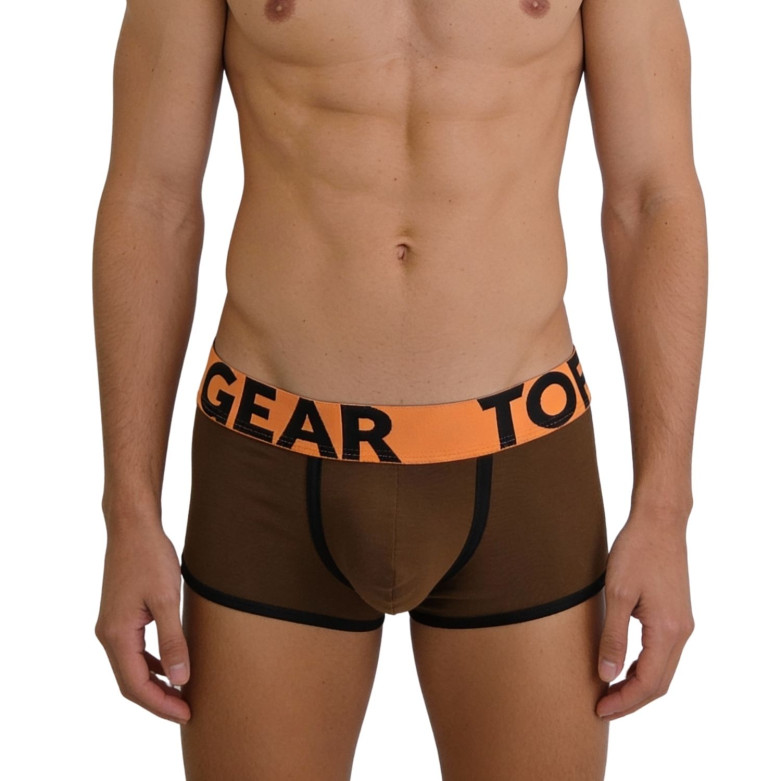 Trunk mood brown zoom from front