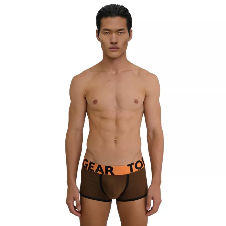 Trunk mood brown from front