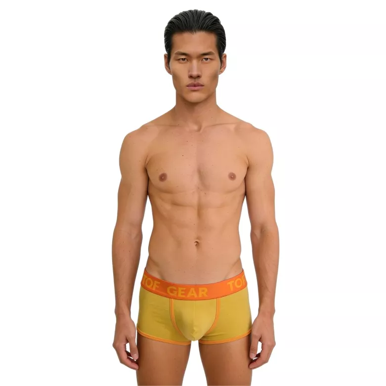 Boxer mood jaune de face