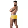Trunk Pride Joyful Yellow