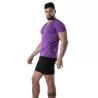 Colorful V T-shirt Purple