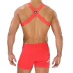 Harnais Homme - Rouge - De Dos
