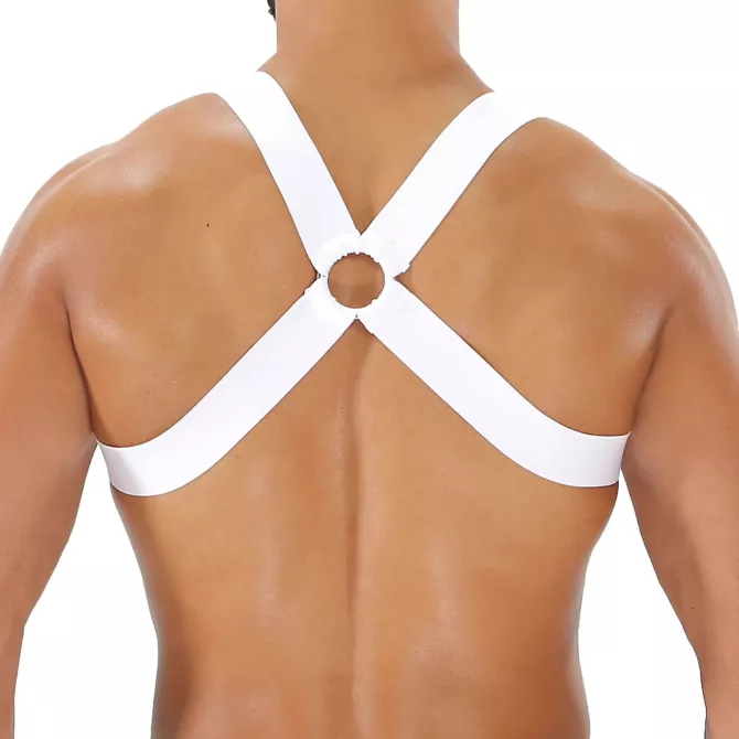 harness white from the back