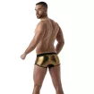 Metal Boxers Golden
