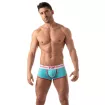 French Boxers Turquoise