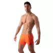 Paris Sexy Shorts - Orange