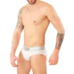 Dan brief White