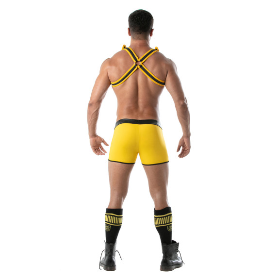 Bad boys Shorts Yellow