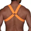 Harnais Elastique Fetish Orange Fluo de dos avec un croisement dans le dos