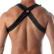 Harnais Neoprene - Noir - Croisement dorsal