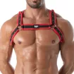 Harnais Bulldog Neoprene Rouge - Homme