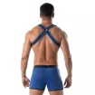 Harnais Bulldog Neoprene Bleu