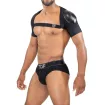 Deri Full harness Black